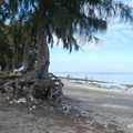 DSCN1643