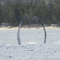 _0FP5732