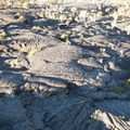 DSCN3461