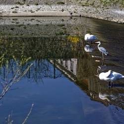 Metz