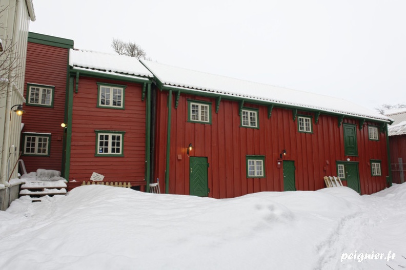 _F0P7182 - _F0P7182.jpg _F0P7182.jpg