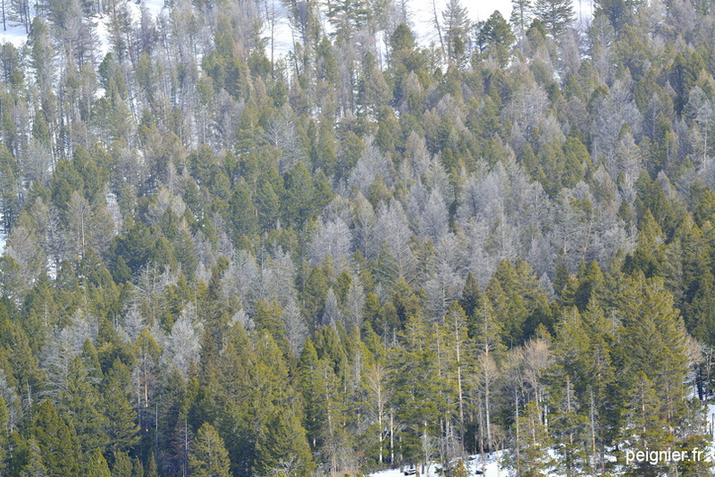 _3FP6299.JPG