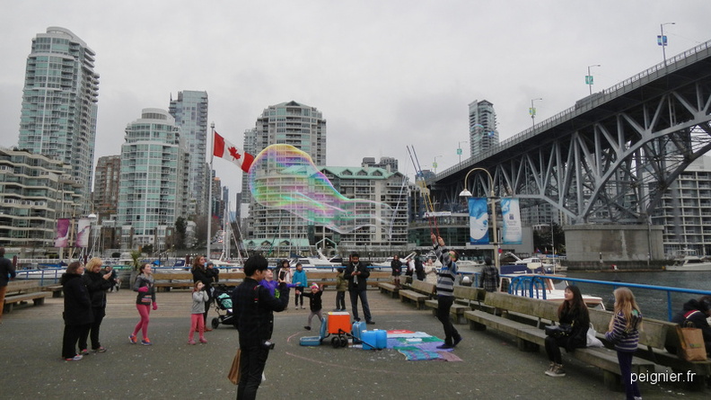 DSCN6379.JPG