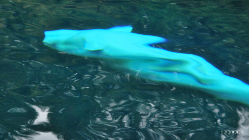 DSCN6412.JPG