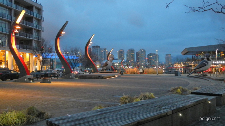 DSCN6474.JPG