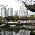 DSCN6495
