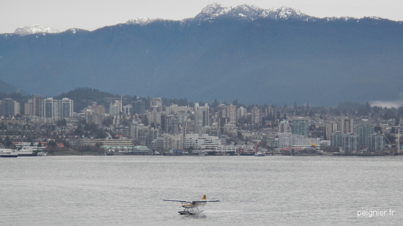 DSCN6528.JPG