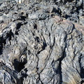 DSCN3524