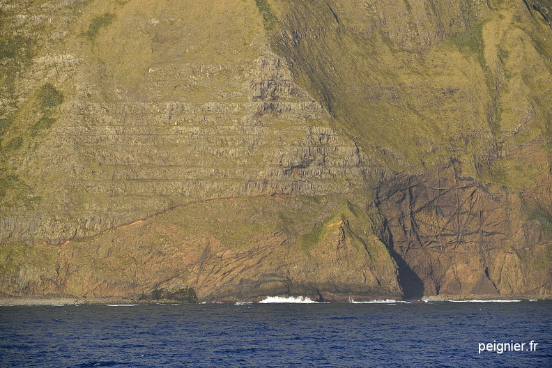 _4FP9388.JPG