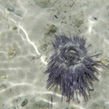 DSCN7932