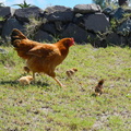 DSCN8023