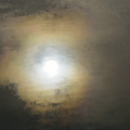 _6FP1530