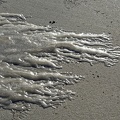 _8FP3299