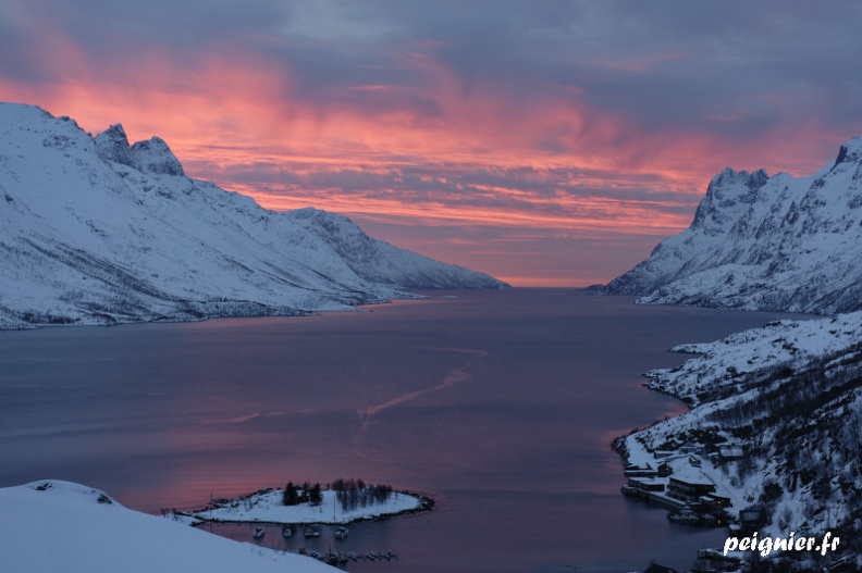 _F0P8558.jpg